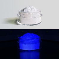 Pigment pour peinture automobile Pigment phosphorescent en poudre brillant dans la nuit Pigment en résine époxy
