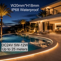 Vente en gros de bande lumineuse néon IP68 DC24V 20*18mm avec télécommande intelligente, bande lumineuse LED pour extérieur, pour façades/piscines/escaliers/hôtels