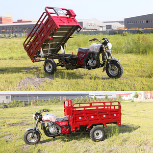 Moto de livraison agricole fournie en usine Tricycle Pragya avec motocyclette à essence à haut rendement de 200cc - Product Image 5