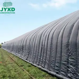 Chinese Solar Agricultural Cheap Greenhouse With Warm Keeping Quilt For Sale