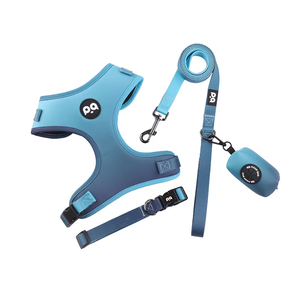 Imbracatura per cani in poliestere personalizzata all'ingrosso con fascia toracica e chiusura a bottone imbottita guinzaglio per animali domestici - Product Image 3