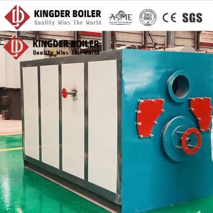 Caldaia a Vapore Industriale a Tubi Incandescenti ad Alta Produzione, Bassa Pressione, Stabile, con Armadio Quadrato DZS, 10 T/h, 1.25Mpa, Doppio Combustibile (Olio e Gas) - Product Image 4