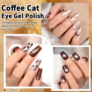 Bozlin Bruine Cat Eye Gel Nagellak Hema Tpo Gratis 15Ml Cat Eye Gel Polish Groothandel Koffie Serie Magnetische Uv Gel Polish - Product Image 6