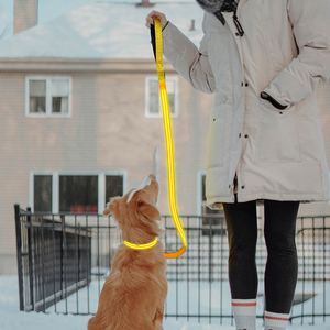 Recargable iluminado brillo led de luz Correa paseo de noche - Product Image 2