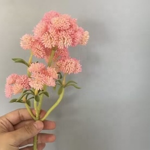 Plantas suculentas artificiales <span class=keywords><strong>de</strong></span> <span class=keywords><strong>plástico</strong></span> realista, decoración <span class=keywords><strong>de</strong></span> interiores, <span class=keywords><strong>flores</strong></span> artificiales - Product Image 3