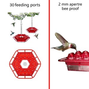 Comedero Colgante para Colibríes con Puertos y Foso Antimosquitos, Resistente a Insectos, Precio de Fábrica - Product Image 4