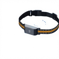 Localisateur d'animaux de compagnie, mini collier GPS, étanche IP67, suivi 4G GPRS, anti-perte, chiens, chats, stockage en nuage, plastique, autonomie de la batterie de 30 heures