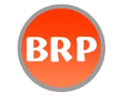 Hangzhou Bright Rubber Plastic Product Co., Ltd. logo