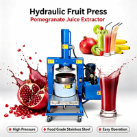 Industriële hydraulische persmachine voor fruit- en groentesap extractie en ontwatering