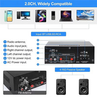 2 Kanallı HiFi USB Ses Amplifikatörü FM SD Mikrofon Girişi 90W Tepe Dijital 5.0 Yüksek Güçlü Amplifikatör Metal, Ev, Araba, Karaoke için