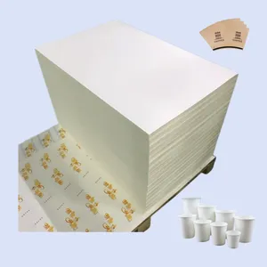 paper cup raw materials in sheet hot sale raw material waterproof paper roll to sheet supplier