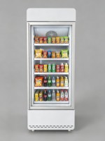 Mesin Penjual Otomatis AI Pintar Satu Pintu, Kartu Kredit, Koin, Kapasitas 500L, Layar Sentuh, Layanan Mandiri Otomatis, Snack & Minuman