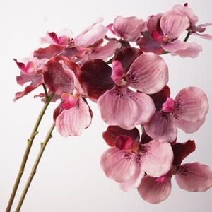 Orchidée <span class=keywords><strong>Vanda</strong></span> artificielle de haute qualité, toucher réaliste, en latex, 79 cm de long, pour la décoration de mariage et de la maison - Product Image 1