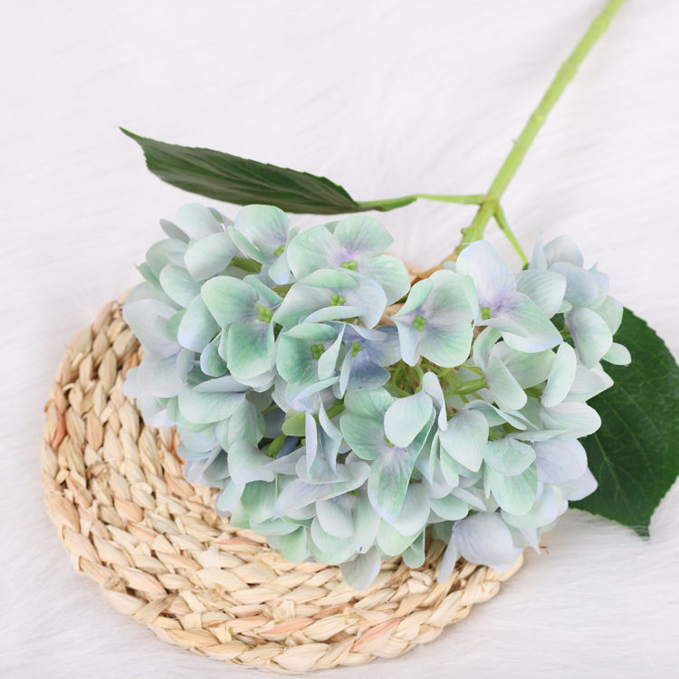 สีฟ้าสีเขียว