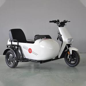 Vélo électrique à 3 roues en alliage d'aluminium avec side-car Tricycle <span class=keywords><strong>73</strong></span> Side Car Fat Tire Motos électriques - Product Image 2