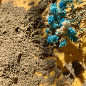 ミモザ根樹皮粉末中国工場供給バルク価格 - Product Image 3