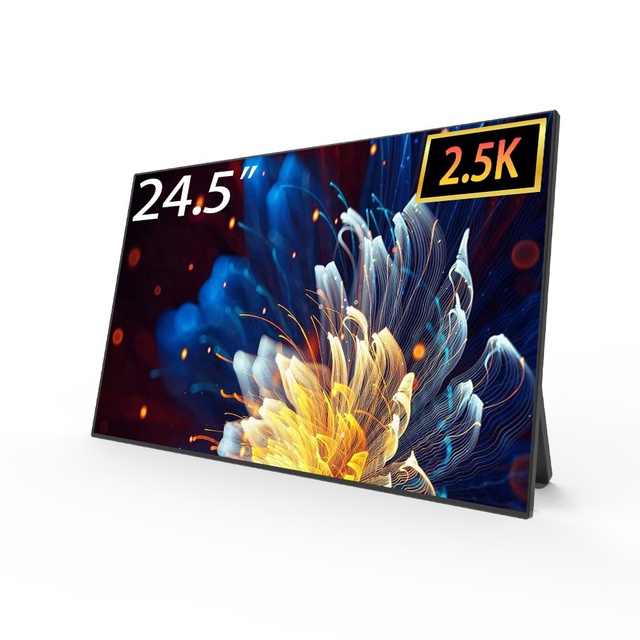 High Resolution 24.5 Inch Portable Monitor 2560x1440 165Hz IPS Type C for Office Home Gaming