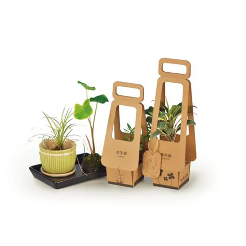 Eco 핫 세일 주문 까만 인쇄 골판지 식물 상자 공장 브라운 kraft 살아있는 식물 포장 상자
