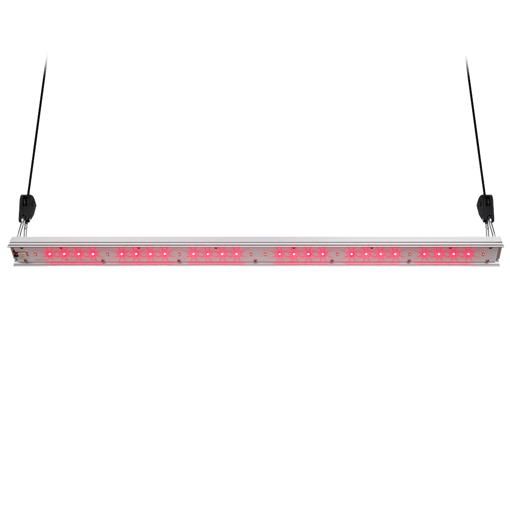 Top Selling 30W IP65 Promote Photosynthesis Flowering IR 660nm Far Red 730nm Bloom Booster UV LED Grow Light Aluminum CRI 80