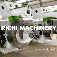 Máquina para Hacer Pellets de Madera RICHI China - Trituradora y Peletizadora de Madera de Alta Calidad de 1-2t/h