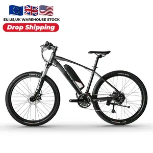 Amazon sıcak satış klasik 48v lityum pil şarj edilebilir erkek bisiklet e bisiklet amerikan yetişkinler denge Enduro Fastes elektrikli bisiklet