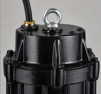Pompa Air Limbah Submersible 200WQ300-16-30HP dengan Kabel 8m untuk Pertanian, Arsitektur, Pertambangan
