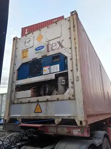 20ft Reefer Container Preço Sobre Explosão Congelador Container Sala Fria