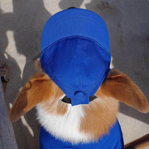 <span class=keywords><strong>Gorra</strong></span> <span class=keywords><strong>de</strong></span> Béisbol para Perros, Personalizable con Logotipo, Ajustable, Transpirable, <span class=keywords><strong>de</strong></span> Algodón, Protección Solar, con Orificios para las Orejas, para Verano - Product Image 2