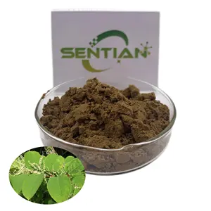 Free sample polygonum cuspidatum extract giant knot weed/Knotweed Extract with bulk price