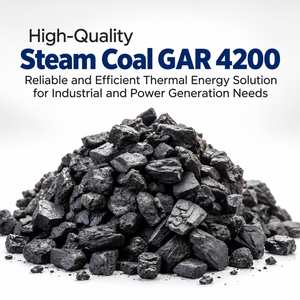 Carbón Vegetal Indonesio GAR 4200 en Trozos para Plantas de Energía, Fábricas de Cemento, Calderas Industriales, Energía Térmica Confiable y Eficiente - Product Image 4
