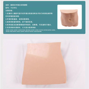 Le modèle d'entraînement à l'incision et à la suture abdominale est utilisé pour l'entraînement aux compétences d'incision et de suture, ainsi qu'au traitement des plaies. - Product Image 4