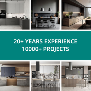 Armadio da cucina personalizzato di fascia alta, la praticità del Design pulito include le opzioni del rubinetto del lavandino <span class=keywords><strong>per</strong></span> il piano di lavoro in laminato di marmo - Product Image 6