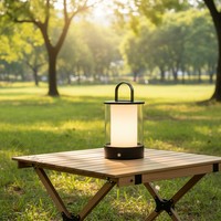 Lampe de bureau portable tactile à LED rechargeable, à intensité variable, à changement de couleur RVB, en métal, pour chambre à coucher, bar, style moderne minimaliste
