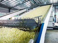 Machine de séchage pour herbes, fleurs et feuilles, capacité de 1 à 30 tonnes, pour feuilles de laurier, clous de girofle, romarin, persil, basilic, thym