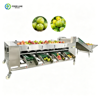 Industriële sorteermachine voor groenten, fruit en knoflook op maat gemaakt, nieuw, automatisch, met maatclassificatie, te koop