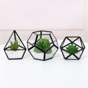 DIY Miniature Verre Géométrique <span class=keywords><strong>Terrarium</strong></span> En Pot Réaliste Artificielle Succulente pour Home Office Décoration de Mariage - Product Image 3