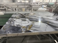 Panneau mural en marbre SPC de 2 mm et 3 mm, revêtement UV haute brillance, résistant à l'humidité, motif floral moderne, pour usage commercial et domestique