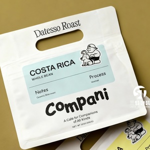 Custom Digital Printed Heat Seal Stand Pouches 0.5kg 5kg Dry Pet Food Resealable Eight-Side Sealed Dog Cat Food Packaging Handle - Product Image 4