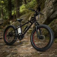 Vélo électrique à pneus larges de 26 pouces, 48 V 250 W, cadre en aluminium, pour la vente en gros