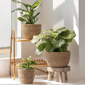 Impresionante cesta tejida a mano para algas marinas con revestimientos de plástico: cubierta perfecta para macetas de plantas y flores - Product Image 2