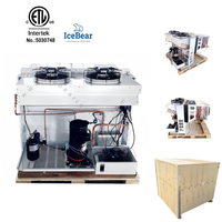 Solutions de refroidissement de l'unité de condensation de bloc mono complet de congélateur de plain-pied 2HP/3 HP R507a pour des magasins de fruit/cuisines commerciales