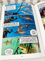 Vente en gros de 28 pièces/ensemble de bandes dessinées scientifiques, vulgarisation scientifique, livres d'histoires pour enfants