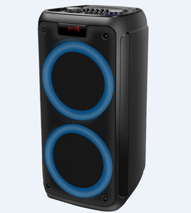 Temeisheng New wireless Partybox 8 inch Portable Party Speaker with light