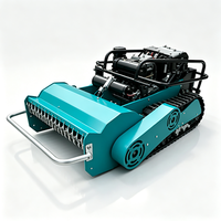 Tagliaerba Robotizzato Cingolato Diesel CE EPA 500mm Approvato per Ogni Terreno, Telecomandato, per Giardino e Casa