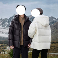 Veste d'hiver pour homme 2026, nouvelle veste épaisse et chaude en duvet avec capuche coupe-vent, adaptée à une utilisation en extérieur en hiver