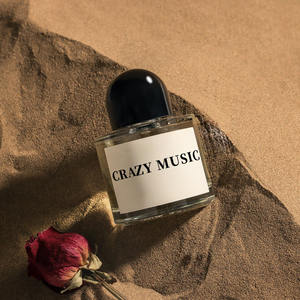 Premium Luxury Spicy Scent Durable Liquid Air Freshener Fashion Private Label Perfume Logo - Product Image 1