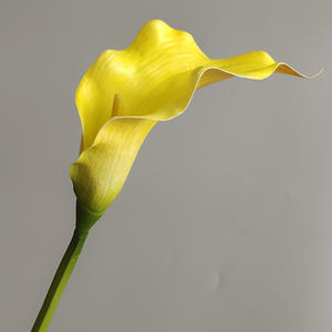 Y-H055 High Quality Real Touch Artificial Flowers Big 92cm Calla Lily for Table Center Piece Wedding Party Home Decoration - Product Image 4