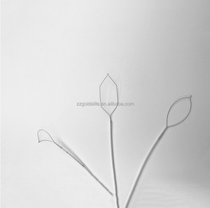 حلقة سلكية polypectomy المتاح polypectomy كمين - Product Image 4