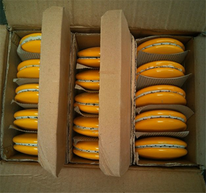 Marcadores de Pavimento Redondos de Cerámica Amarillos y Blancos de 4, 6 y 8 Pulgadas, Reflectores de Carretera de Cerámica - Product Image 6