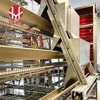 Cage à poules pondeuses conventionnelle à 3 niveaux en fil galvanisé, équipement d'élevage avicole, abreuvoir à tétine, mangeoire pour poules pondeuses